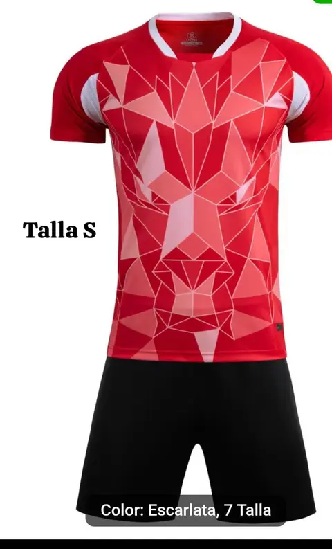 Colección Conjuntos de Caballero