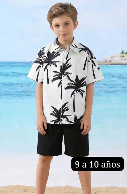 Conjunto palmeras